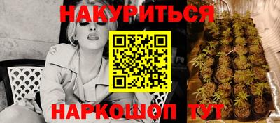сатива Анапа