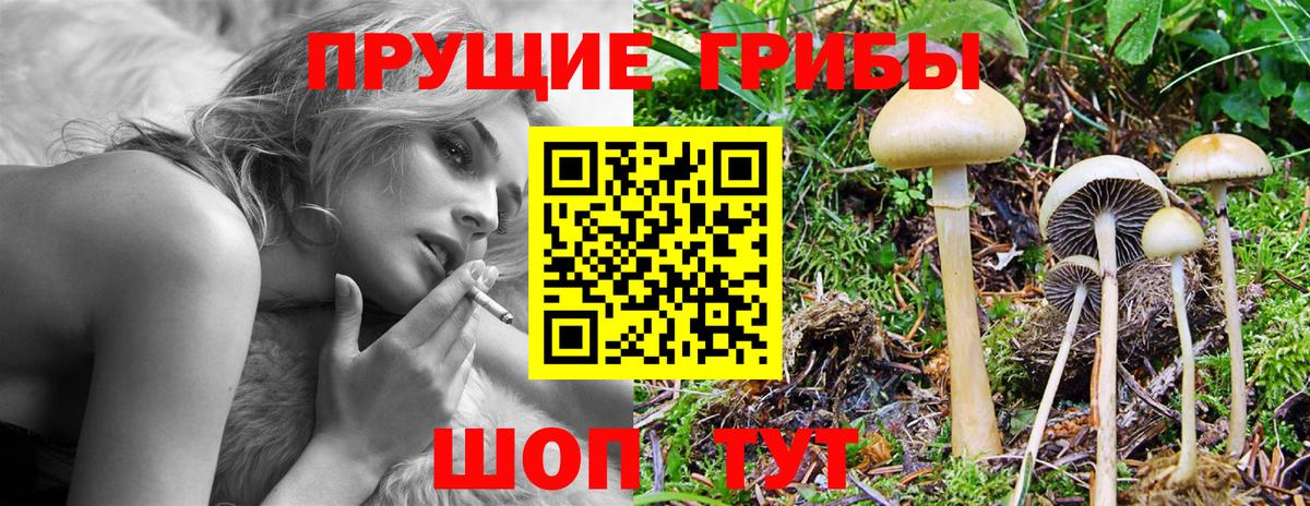 Рассказово  Галлюциногенные грибы Psilocybe  Вход с VPN  где найти наркотики  Галлюциногенные грибы GOLDEN TEACHER 